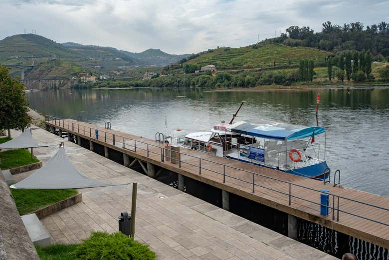 Paseo en barco por Peso da Régua