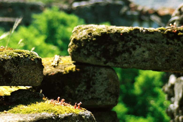 Tour por el Parque Nacional Peneda-Gerês 