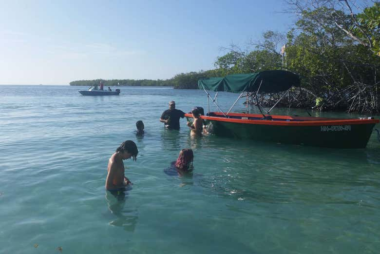 Paseo en barco por la bahía bioluminiscente