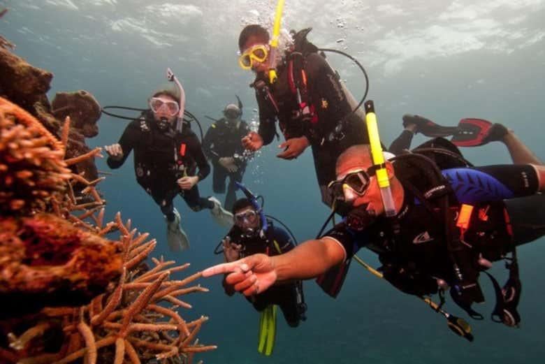 Bautismo de buceo en Nilaveli