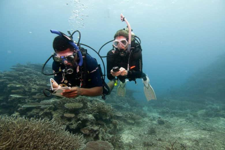 Curso PADI Advanced Open Water Diver