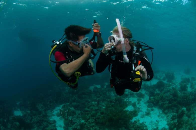 Curso de buceo PADI Open Water