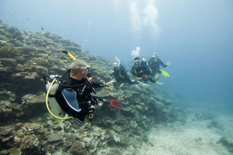 Bautismo de buceo en Trincomalee