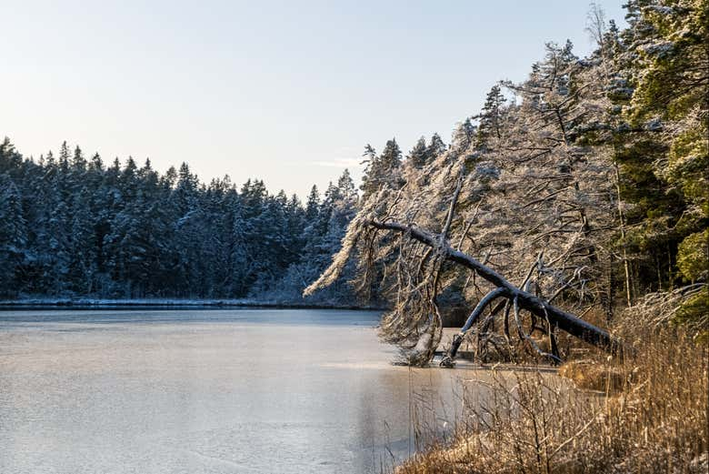 Senderismo por el lago Onkijärvi