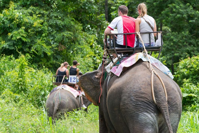 Tour en quad y paseo en elefante