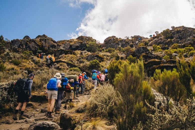 Excursión al Kilimanjaro