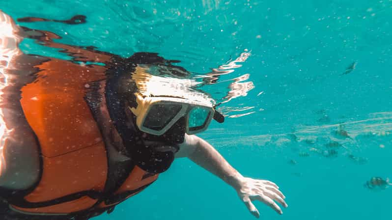 Mirissa: Experiencia de snorkel con tortugas