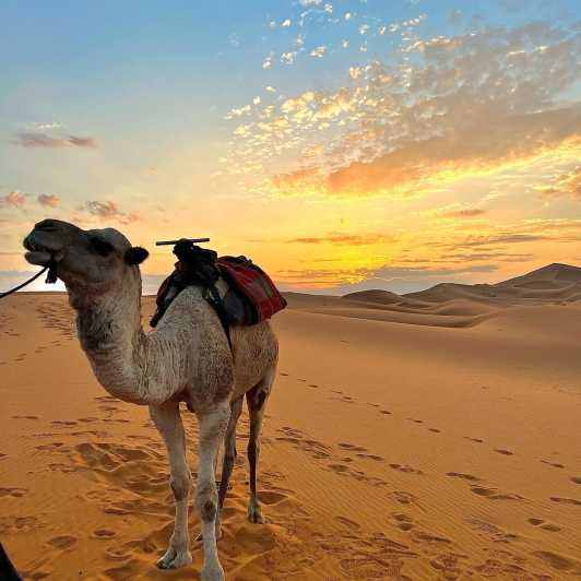 excursión de 3 días por el desierto del sahara con paseo en camello