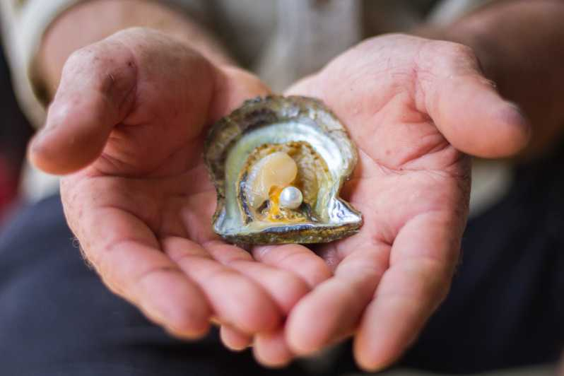 Secretos de la perla en Broken Bay