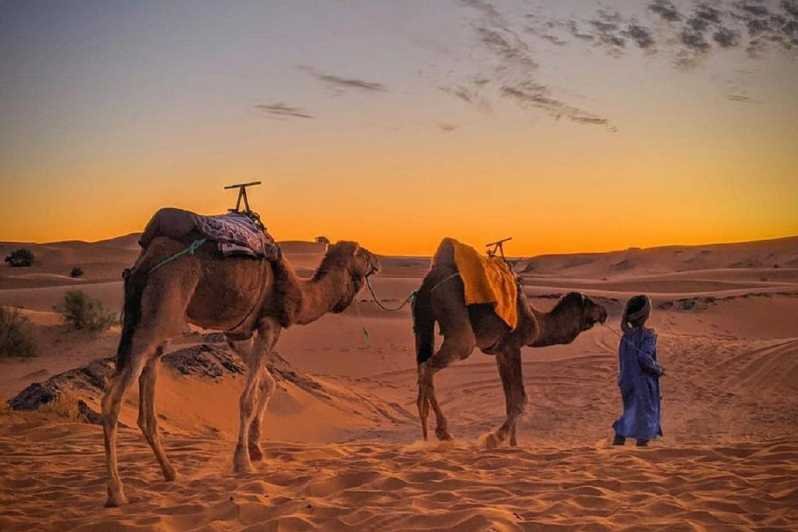 Desde Fez: Excursión de 3 días a Marrakech por el desierto con alojamiento