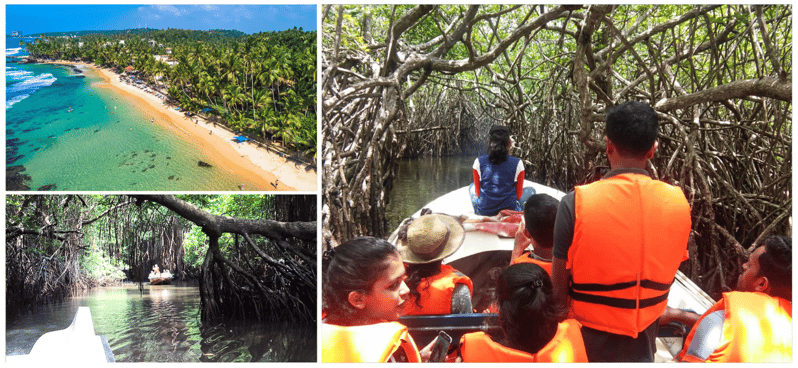 Playa de Bentota, laguna de los manglares del río, visita a la fauna