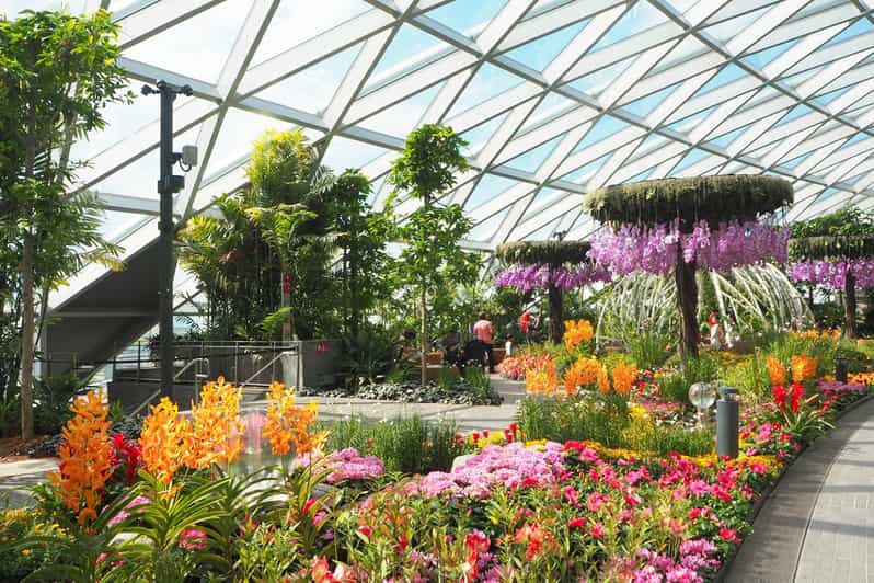 Joya Aeropuerto de Changi: Entrada al laberinto de setos y al parque Canopy