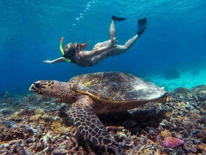 Excursión Tortuga Gili Trawangan : Snorkel Privado 3 Gili's