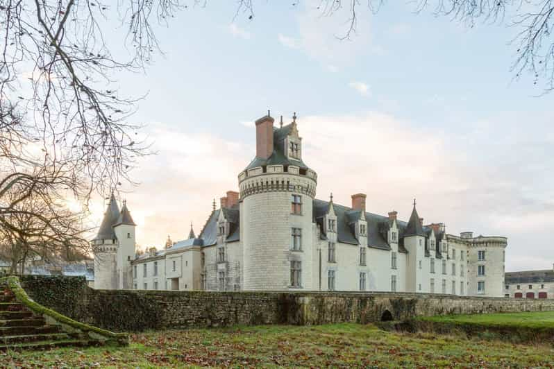 Desde Poitiers: Visita privada al Castillo de Dissay