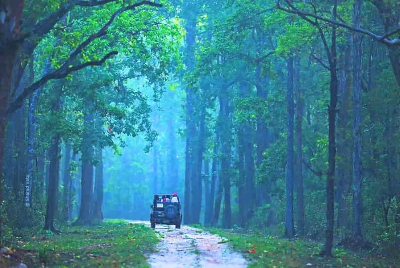 Rajastán: Safari Privado en Jeep por el Parque Nacional de Ranthambore