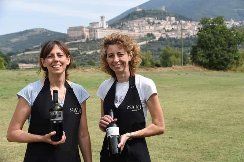 Comida y degustación de 5 vinos + paseo por los viñedos panorámicos