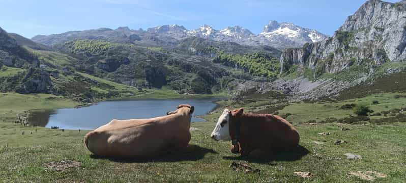 Covadonga y Cascos Históricos Cangas de Onís y Lastres