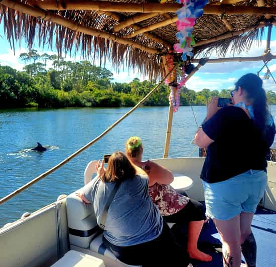 Tour turístico de 2 horas con los Delfines Tiki en Cocoa Beach