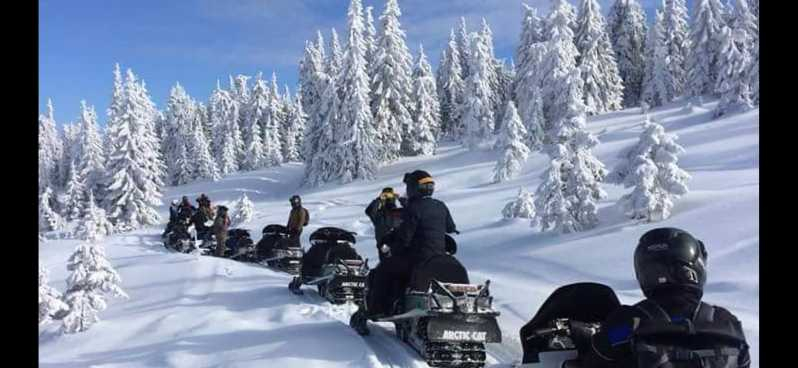 Excursión de Aventura en Motos de Nieve por los Cárpatos