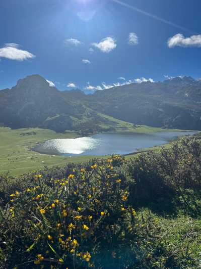 Covadonga y Lagos y Costa Occidental Tour Privado
