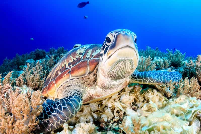 Lombok: Gili Trawangan / Meno / Excursión Aérea (incl. Almuerzo)