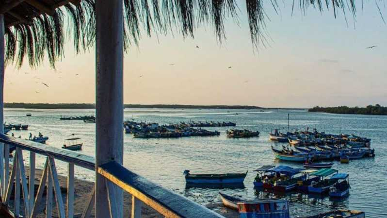 Tumbes: Islas y manglares de Puerto Pizarro
