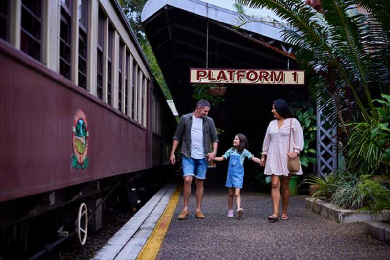 Cairns: Tren panorámico de Kuranda, selva tropical y excursión aborigen