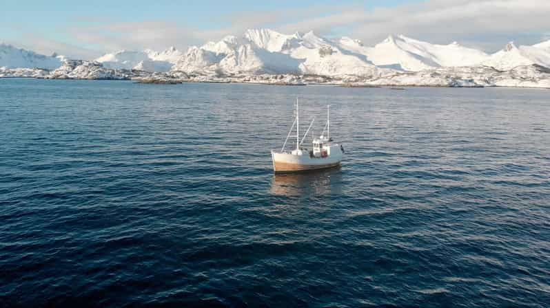 Svolvær: Excursión de pesca en el mar de Lofoten