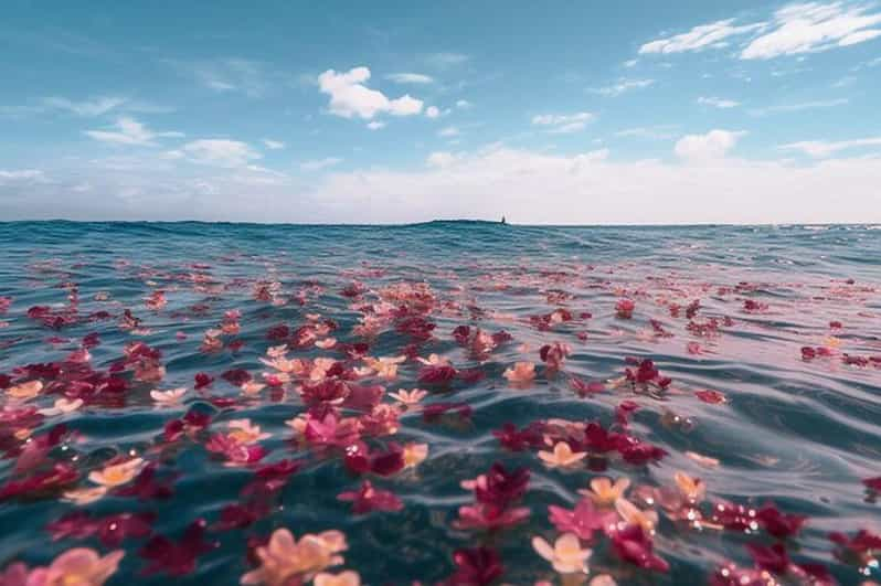 Galveston Entierro en el Mar Celebración de la Vida Carta Privada