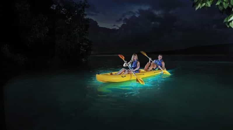 Fajardo: Kayak en la Mágica Bahía Bioluminiscente