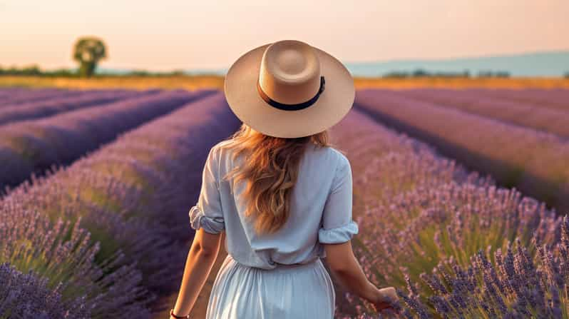 Campos de Lavanda de Brihuega