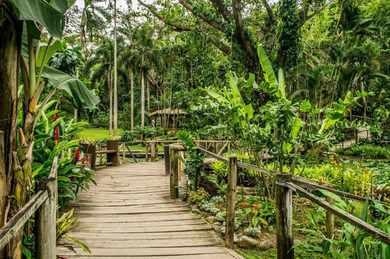 Nadi: Excursión a las Fuentes Termales y Templos de la Aldea Jardín