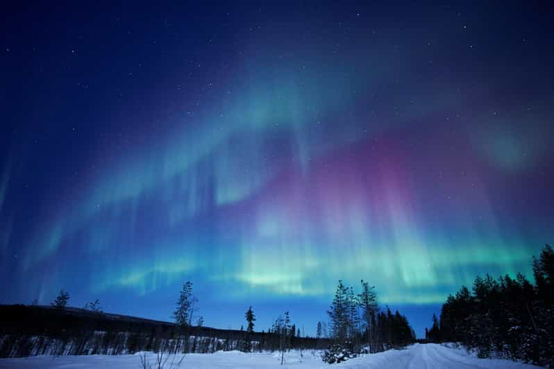 Rovaniemi: Excursión privada a la Aurora Boreal con furgoneta Mercedes