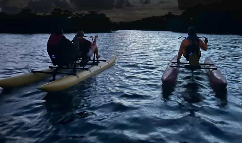 Parguera: Experiencia Chiliboats en la Bahía Bioluminiscente