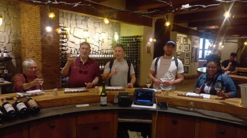 Desde Ciudad del Cabo: Excursión para catar vinos de Stellenbosch y Franschhoek