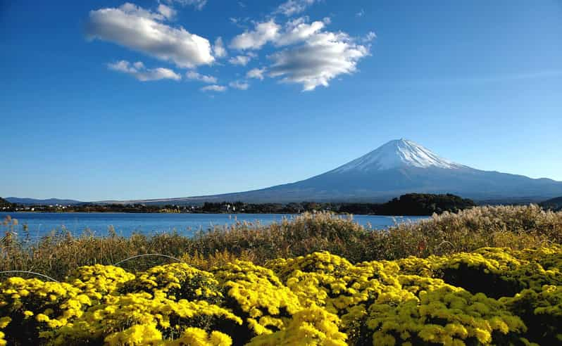 Monte Fuji: Tour de día completo en privado con guía en inglés