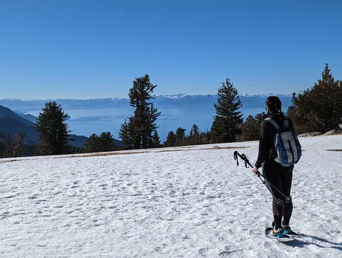 Excursión con raquetas de nieve para principiantes en Chickadee Ridge