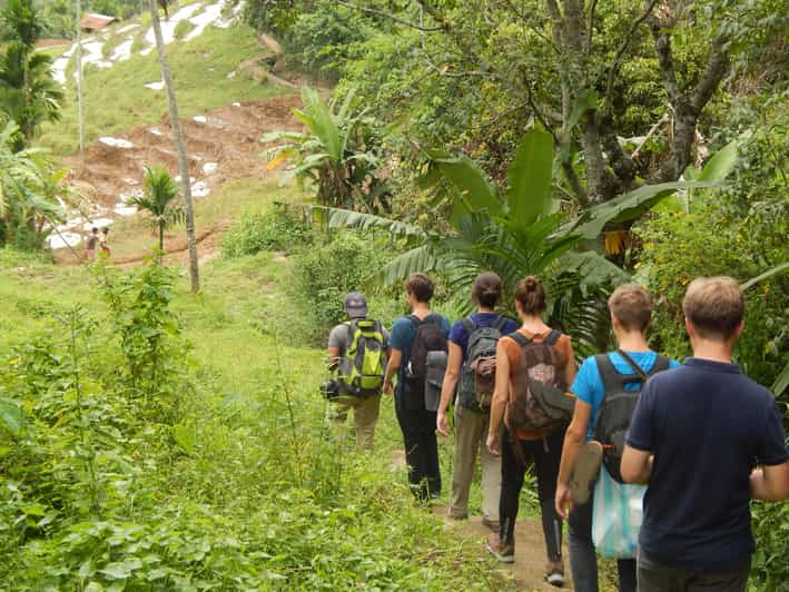 Ruta de las Especias desde Kandy