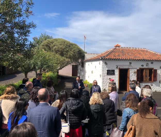 Tenerife: Excursión y Cata de Vinos en el Bosque de Anaga