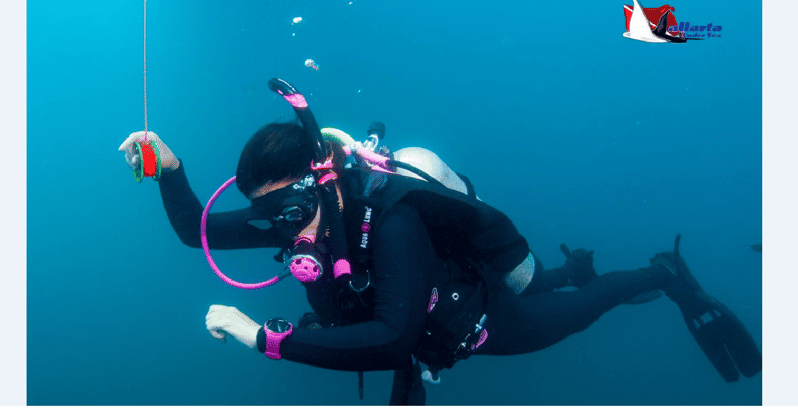 Punta Mita: Aventura de buceo en las Islas Marietas