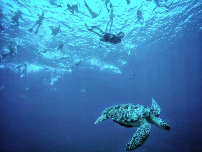 Esnórquel privado Gili Trawangan, Gili Meno, Gili Air