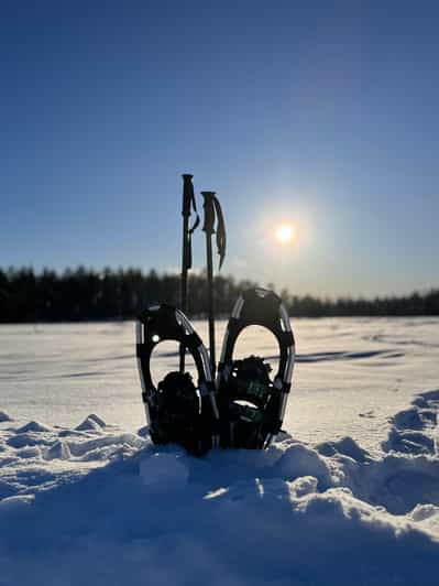 Raquetas de nieve