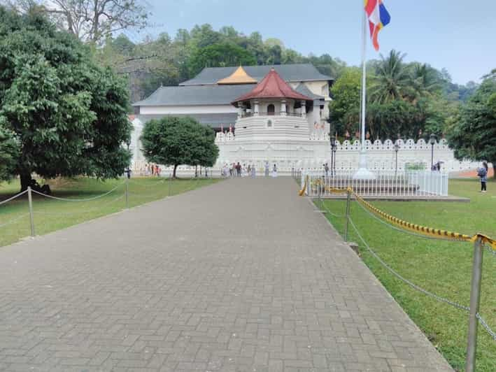 Sri Lanka: Estación de montaña, playa y vida salvaje