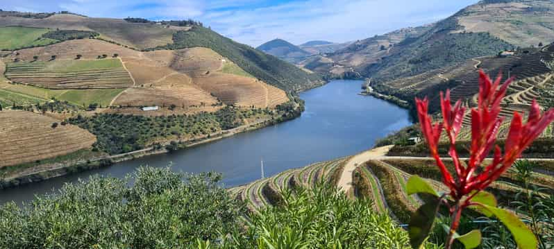 Desde Peso da Régua: Visita a 3 bodegas, degustación y mirador