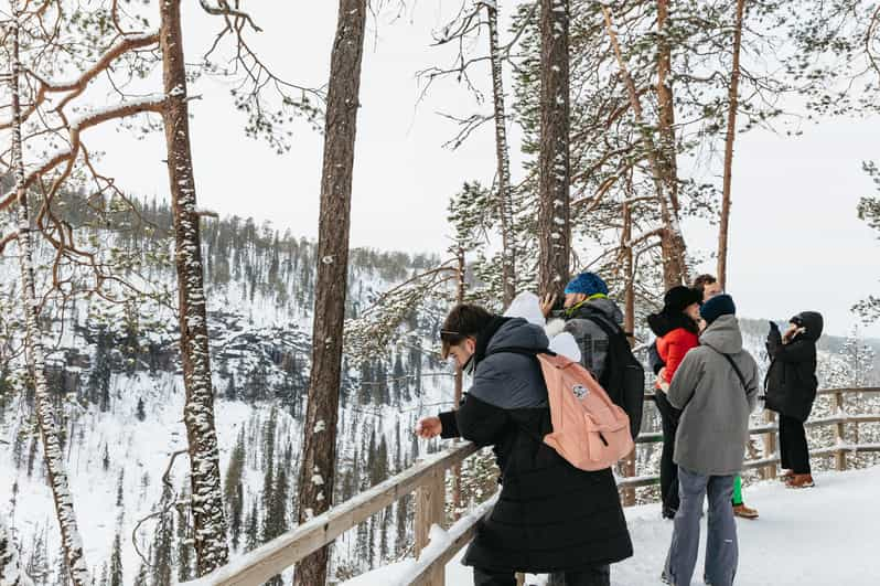 Desde Rovaniemi: Excursión al Cañón de Korouoma y las Cascadas Heladas