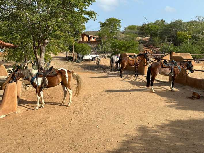 Margarita: Aventura a caballo por las Colinas y la Playa