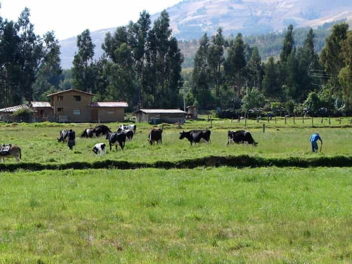 Excursión a la hacienda La Colpa y Baños del Inca.