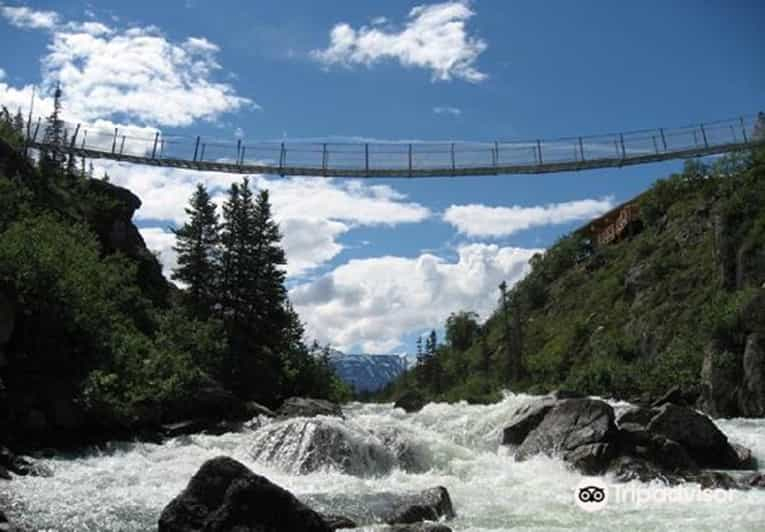 Desde Skagway Excursión al Paso Blanco y al Puente Colgante del Yukón