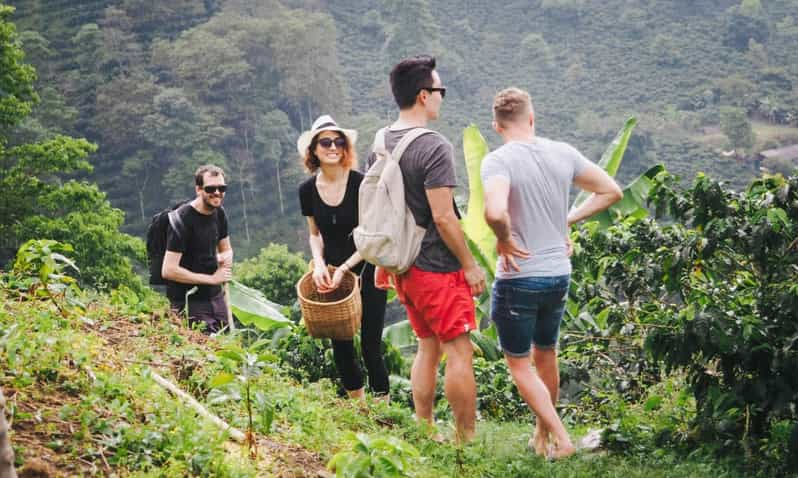 Paseo por el pueblo del Kilimanjaro, visita al café, cascadas y almuerzo caliente