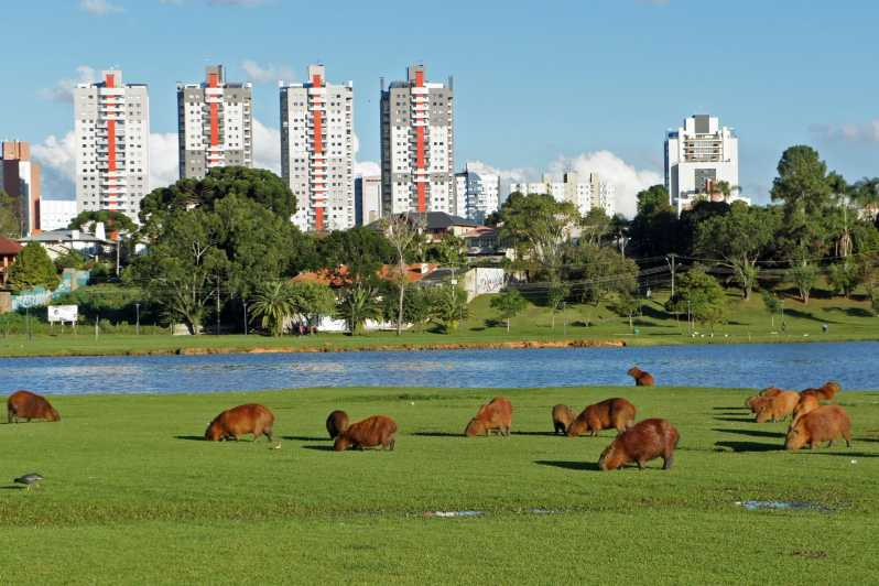 Curitiba: Excursión en el Parque Barigui